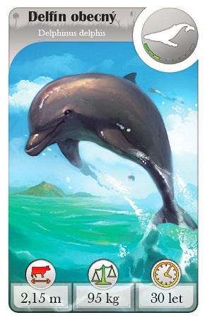 Svět zvířat - delfín