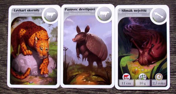 Cardline: Svět zvířat - karty